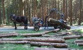 hydraulická ruka na vleku domácej výroby
