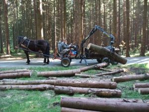 hydraulická ruka na vleku domácej výroby